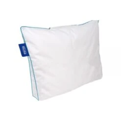 Silvana Hoofdkussen Start