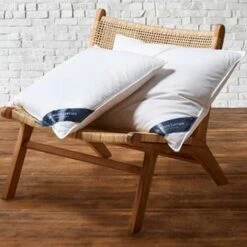 De Witte Lietaer Kussen Ducky - 60 X 70 Cm - Donsvulling -Slaap Zone 1163069466 0103