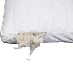 Polydaun Hoofdkussen First Kapok - 60x50 Cm -Slaap Zone 81024519 9000